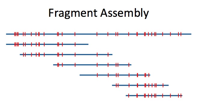 Distance map assembly