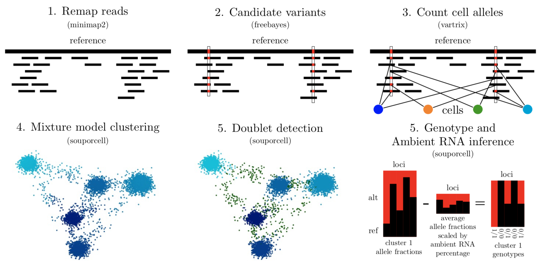 Single cell RNAseq overview
