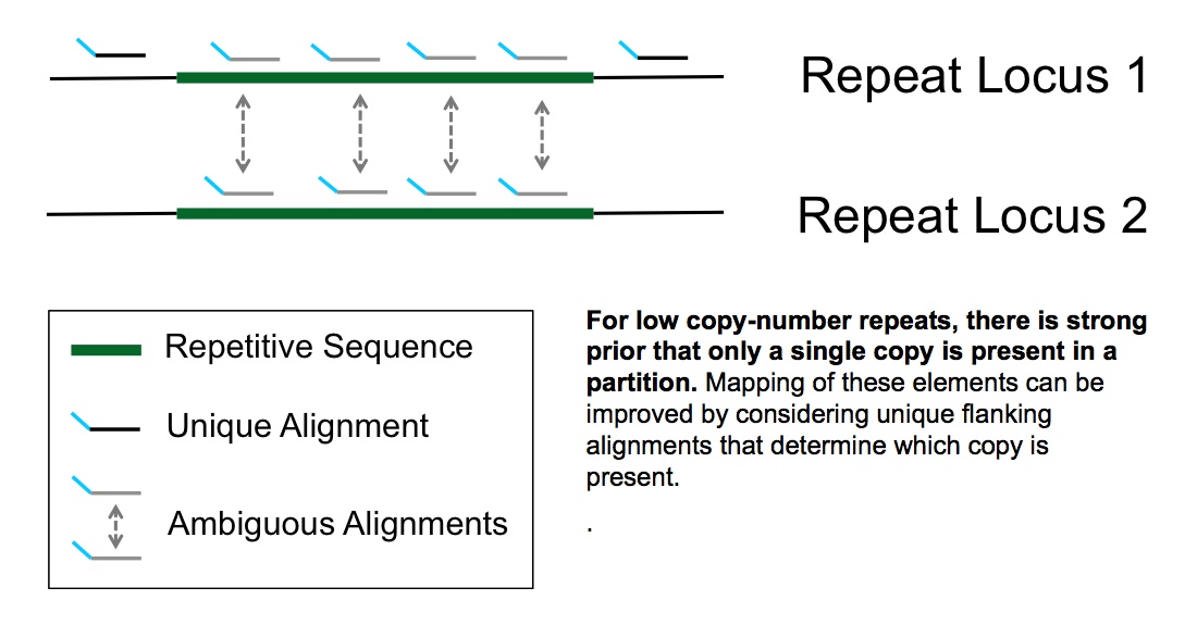 Mapping repeat regions of the genome confidently using 10X genomics molecular barcodes